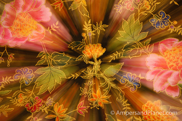 "Floral Burst"