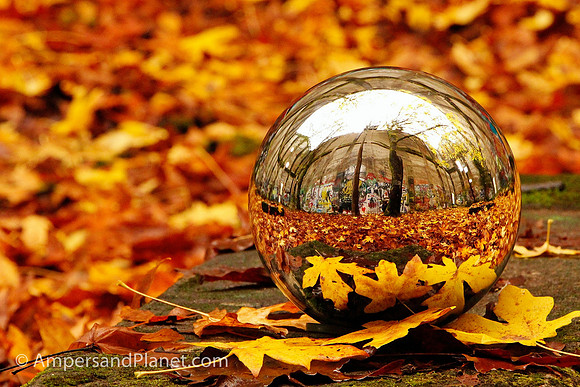 "Autumn Reflections"