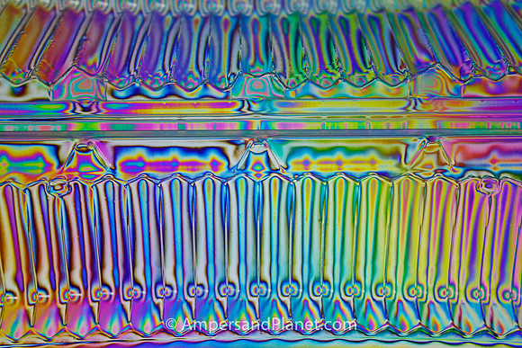 "Orthodontic Rainbow"