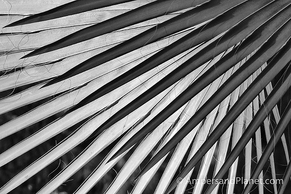 "Spiky Shadows"