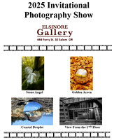 Invitational Photography   Show (2025) Elsinore Gallery, Salem OR