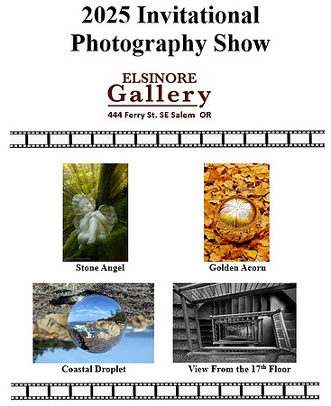 Invitational Photography   Show (2025) Elsinore Gallery, Salem OR